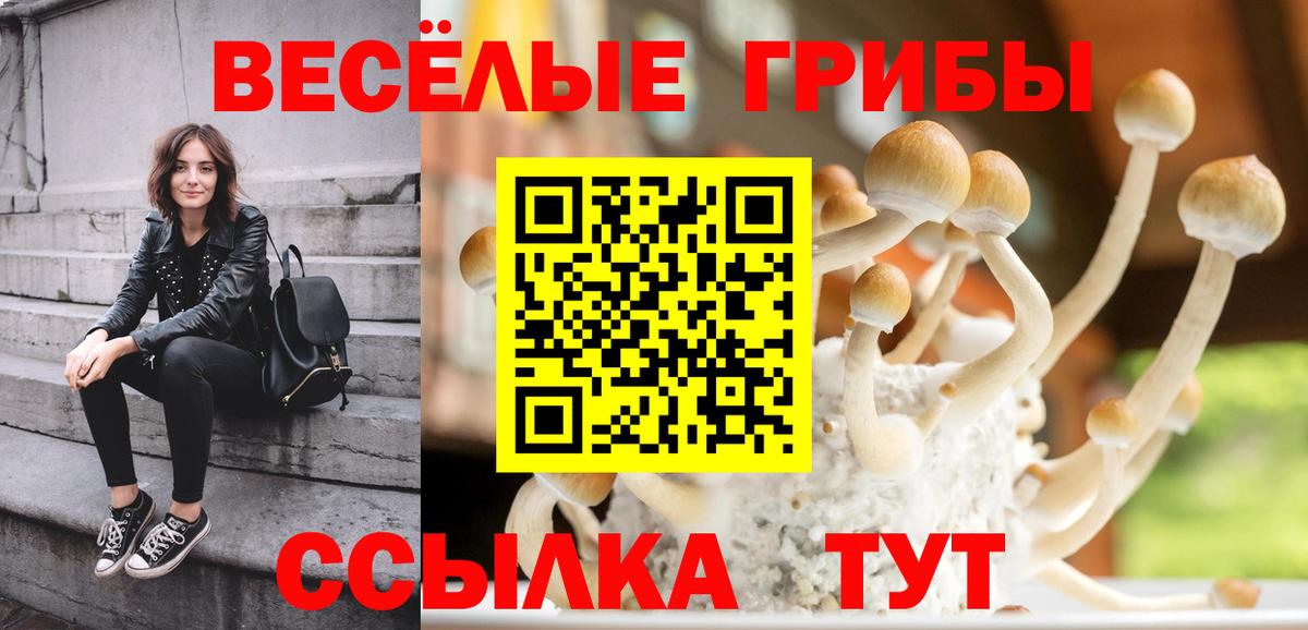 Галлюциногенные грибы Psilocybine cubensis  Вход с VPN  Тобольск 
